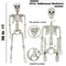 36" Skeleton Halloween Decorations, 3FT Realistic Full Body Movable Posable Joints Skeleton, Creepy Halloween Plastic Skeleton for Graveyard Decorations, Haunted House Props Indoor/Outdoor Decor